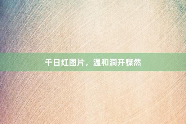 千日红图片，温和洞开骤然