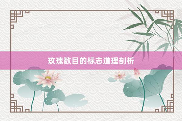 玫瑰数目的标志道理剖析