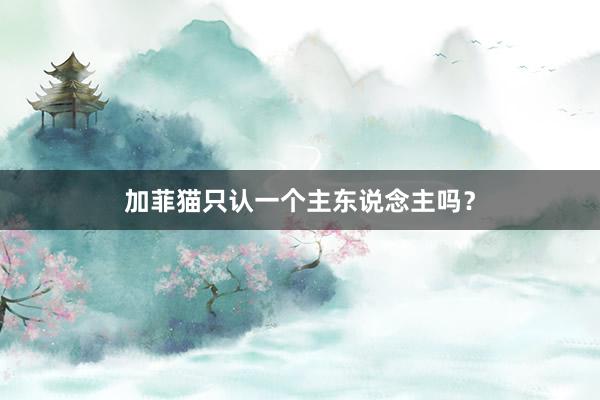 加菲猫只认一个主东说念主吗？