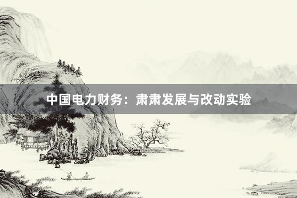中国电力财务：肃肃发展与改动实验
