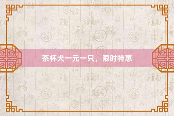 茶杯犬一元一只，限时特惠